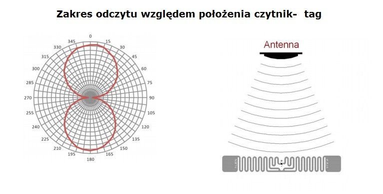 Aln-9630 C Squiglette