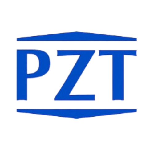pzt case study